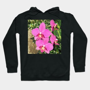 Pink Orchid Collage Hoodie